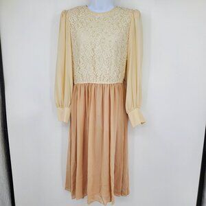 Vintage Union Made Pearl Lace Front Long Sleeved Prairie Midi Victorian Dress 12